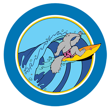 anteater surfer